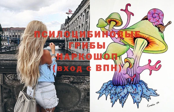 mdma Каменногорск