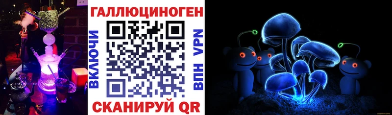 Купить закладки  Бежецк  Псилоцибиновые грибы Psilocybe 