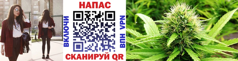 Канабис марихуана  Купить где  Бежецк 